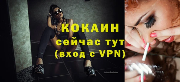 индика Нязепетровск