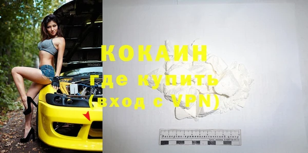 индика Нязепетровск