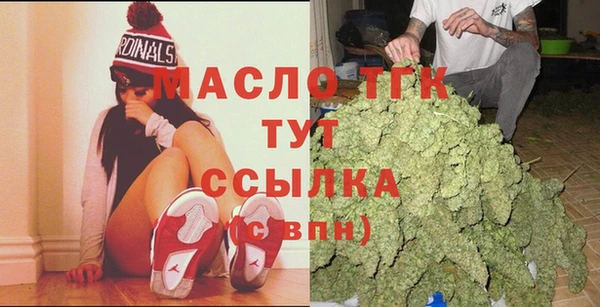индика Нязепетровск
