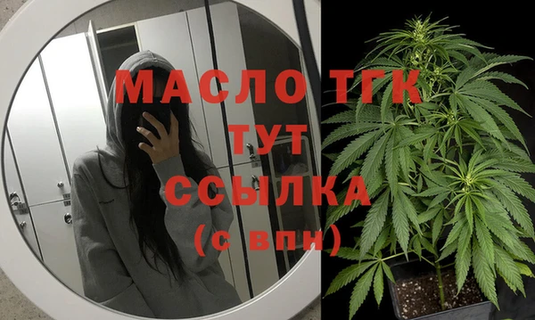 соль ск Няндома