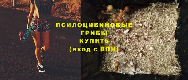 индика Нязепетровск
