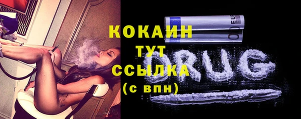 соль ск Няндома