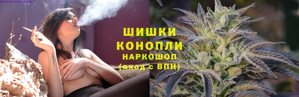 индика Нязепетровск