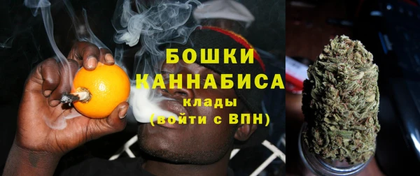 индика Нязепетровск