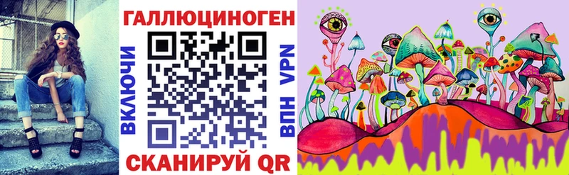 Галлюциногенные грибы Psilocybe  Котлас 