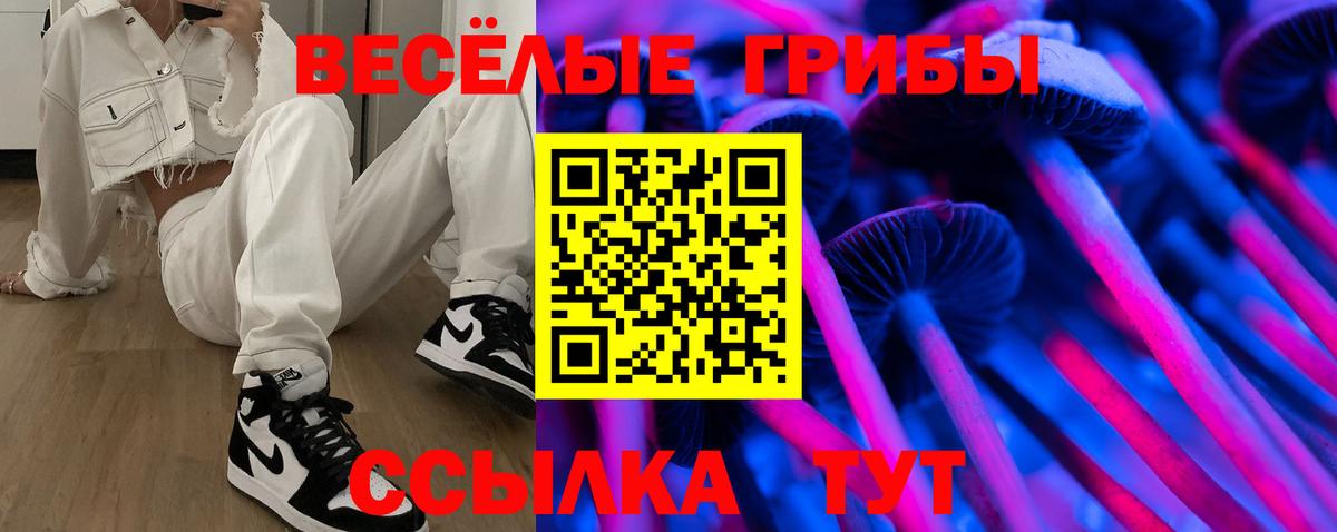 Псилоцибиновые грибы Psilocybe Котлас